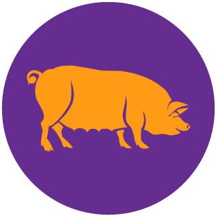 Pig