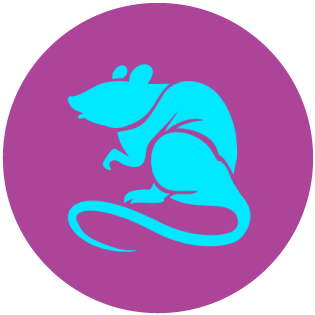 Rat